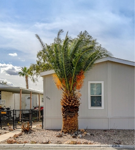 Manufactured home exterior view with erected palm tree outside